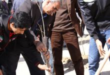 گزارش تصویری مراسم روز درخت کاری در دانشگاه  با حضور ورزشکاران ملی پوش شهرستان شاهرود  